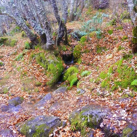 Caminito Arg Gæstehus