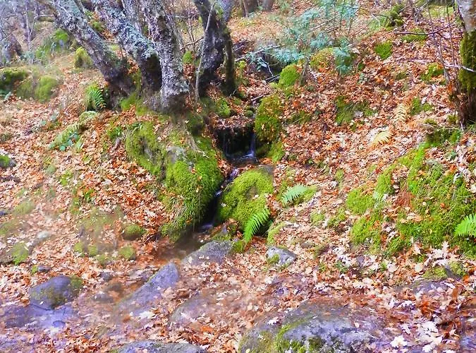 Caminito Arg 게스트하우스