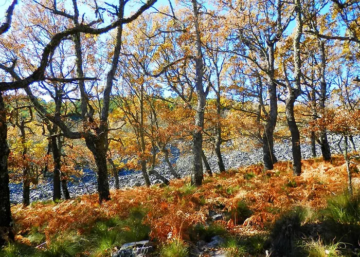 Caminito Arg 招待所 3*